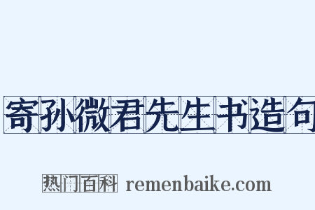 寄孙微君先生书造句是什么意思的图片